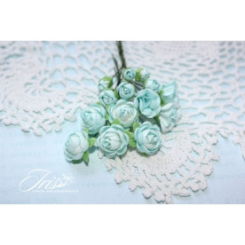 Набір троянд Viva Rosita світло-блакитні Iris, 1-1.5 см, 14 шт