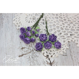 Набор роз Viva Rosita темно-фиолетовые Iris, 1-1.5 см, 14 шт