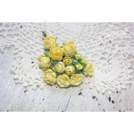 Набор роз Viva Rosita желтые Iris, 1-1.5 см, 14 шт