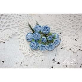 Набор роз Viva Rosita Синие Iris, 1-1.5 см, 14 шт