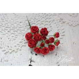 Набор роз Viva Rosita Красные Iris, 1-1.5 см, 14 шт