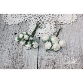 Набор роз Viva Rosita белые Iris, 1-1.5 см, 14 шт