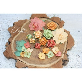 Набір кольорів Lady Rosemary Осінній бриз Iris, 20 шт