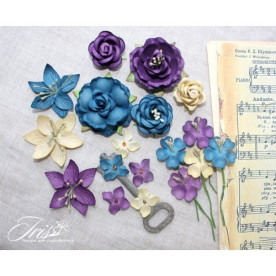 Набір кольорів Mystery Dream Ніч в Парижі Iris, 15-45 мм, 18 шт