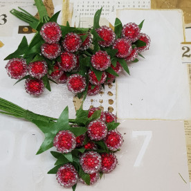 Букет ягодок, сахарный, красный, 12 шт, 10 мм