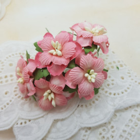 Набір квітів яблуні, кораловий, 5 шт, 3,8 см.