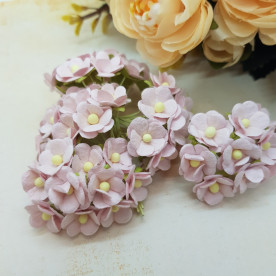 Набір Світхарт, 10 шт, 15 мм