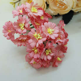 Набір хріантем Кораловий, 5 шт