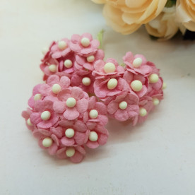 Набір міні-Світхарт, рожевий, 10 шт., 10 мм