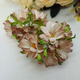 Набір хризантем, 5 шт., 4.5 см, коричневий