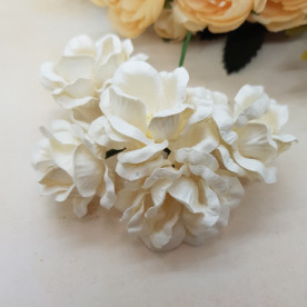 Набір магнолій, 5 см, 5 шт., Білий