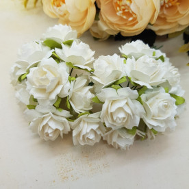 Набір диких трояндочок 25 мм, білий, 5 шт