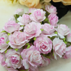 Набір диких трояндочок 25 мм, біло-рожевий, 5 шт