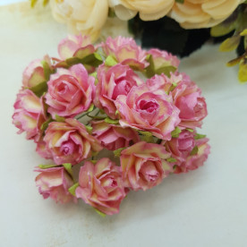 Набір диких трояндочок 25 мм, колір рожеве шампанське, 5 шт