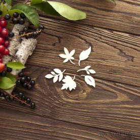 Чипборд набор листья WOODChic