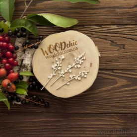 Чипборд набор цветущие ветки WOODChic