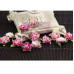 Набір троянд Cameo Roses Azalea в рожевих тонах, 20 мм, 12 шт. від Prima