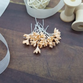 Набор мини-цветочков, 20 шт, 8-10 мм, персиковый, Цветочная Фея