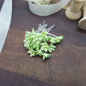 Набір міні-квіточок, 20 шт, 8-10 мм, ніжно-салатовий, Квіткова Фея