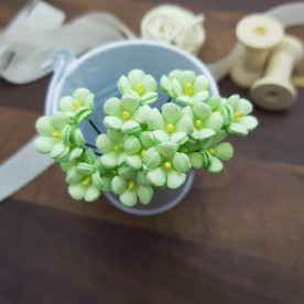 Набір незабудок, 5 шт, 1 см, ніжно-салатовий, Квіткова Фея