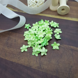Набор цветочков-заготовок 3, 50 шт, 1 см, мятный, Цветочная Фея