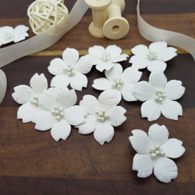 Квітка енотери, 35 мм, 1 шт, білий, Квіткова Фея