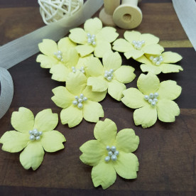 Квітка енотери, 35 мм, 1 шт, ніжно-жовтий, Квіткова Фея