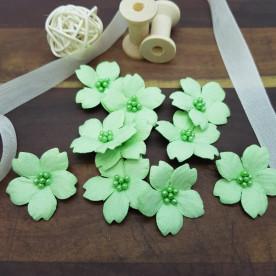 Цветок энотеры, 35 мм, 1 шт, мятный, Цветочная Фея