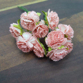 Набір гвоздик, персиковий, 5 шт