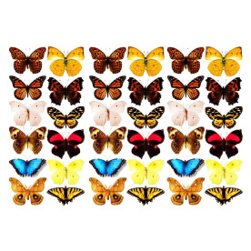 Оверлей Метелики 3-Д, Фабрика Декору