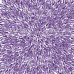 Лист двуст. бумаги Lavender Provence #22-04 Фабрика Декора