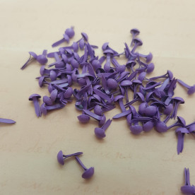 Брадси фіолетові, 20 шт, 5 мм