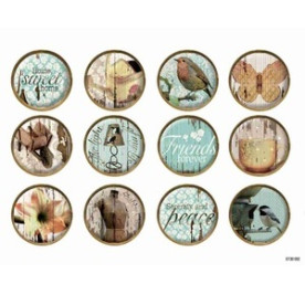 Набор наклеек Shabby Shic, 12 шт.от Fabscraps