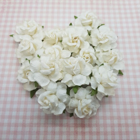 Набір диких трояндочок, 50 мм, 5 шт, колір білий