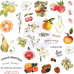 Набор высечек эфемеры Fruit Paradise, кардсток с фольг., 44 шт., Prima