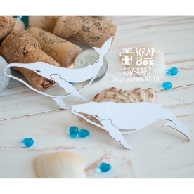 Чіпборд два кити Hf-235, Scrapbox