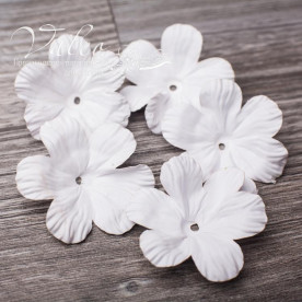 Декоративные бумажные Полевые цветы 50*50мм 5шт цвет белый 2933 Valeo