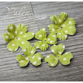Декоративные бумажные Полевые цветы 40*40мм 2шт 30*30 3шт цвет зеленый в белый горох 2927 Valeo