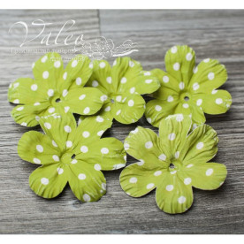 Декоративні паперові Польові квіти 50 * 50мм 5шт колір зелений в білий горох 2926 Valeo