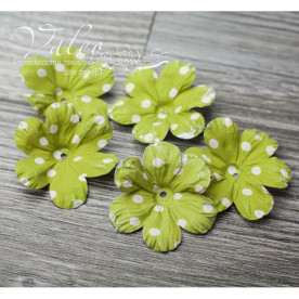 Декоративні паперові Польові квіти 40 * 40мм 5шт колір зелений в білий горох 2925 Valeo