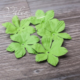 Декоративні паперові Польові квіти 40 * 40мм 5шт колір зелень 2924 Valeo