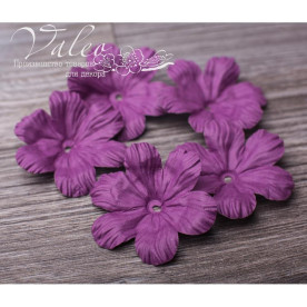 Декоративные бумажные Полевые цветы 50*50мм 5шт цвет фиолетовый 2915 Valeo