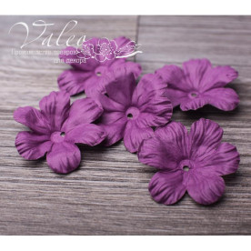 Декоративні паперові Польові квіти 40 * 40мм 5шт колір фіолетовий 2914 Valeo