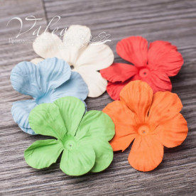 Декоративні паперові Польові квіти 50 * 50мм 5шт мікс кольорів 2913 Valeo