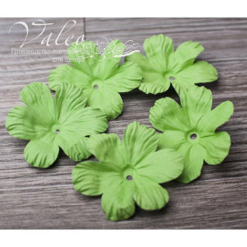 Декоративні паперові Польові квіти 50 * 50мм 5шт колір зелень 2911 Valeo