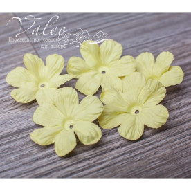 Декоративные бумажные Полевые цветы 40*40мм 5шт цвет желтый 2906 Valeo