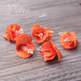 Декоративні паперові Польові квіти 25 * 25мм 5шт колір помаранчевий 2962 Valeo