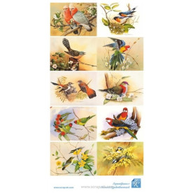 Картинки Птицы 15х30 см, ТМ Курдибановская