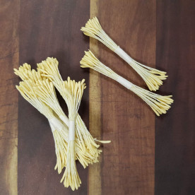 Набор тычинок, кремовый, 1 мм, 25 двусторонних веточек