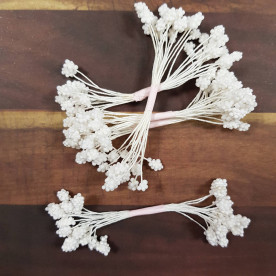 Набор тычинок, пенные, цвет белый, 15 веточек